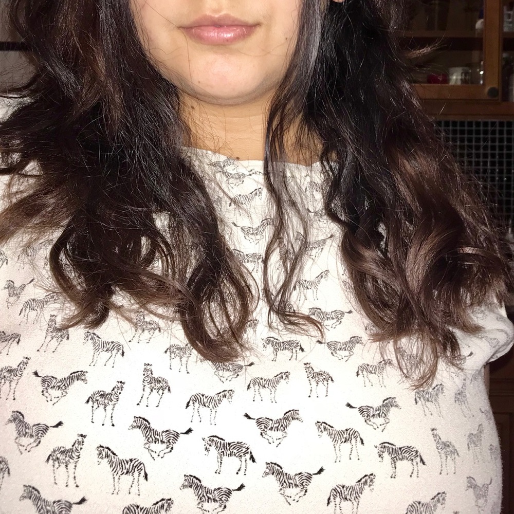 h&m zebra blouse